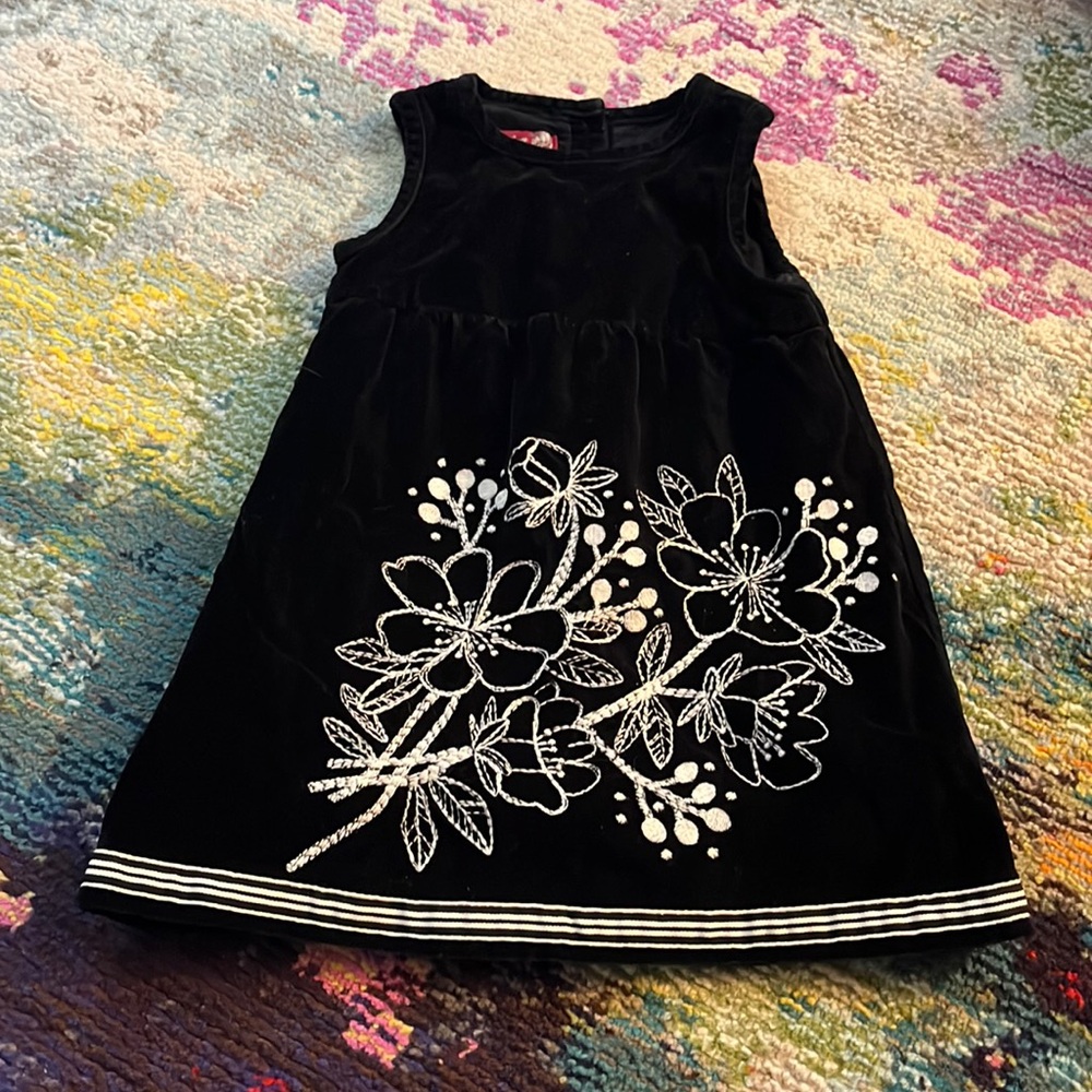 Old Navy Velvet Floral Jumper Dress